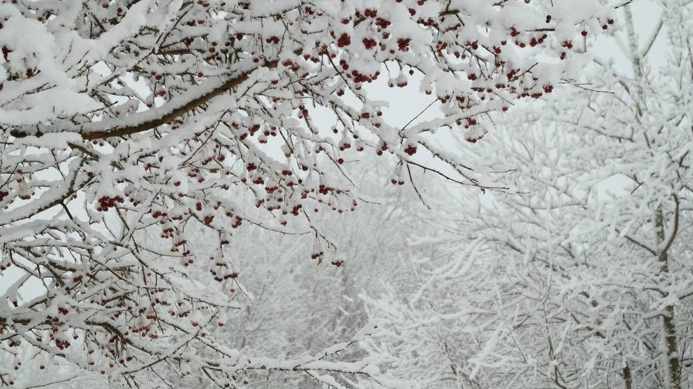 Photograph by Иван Кирилков