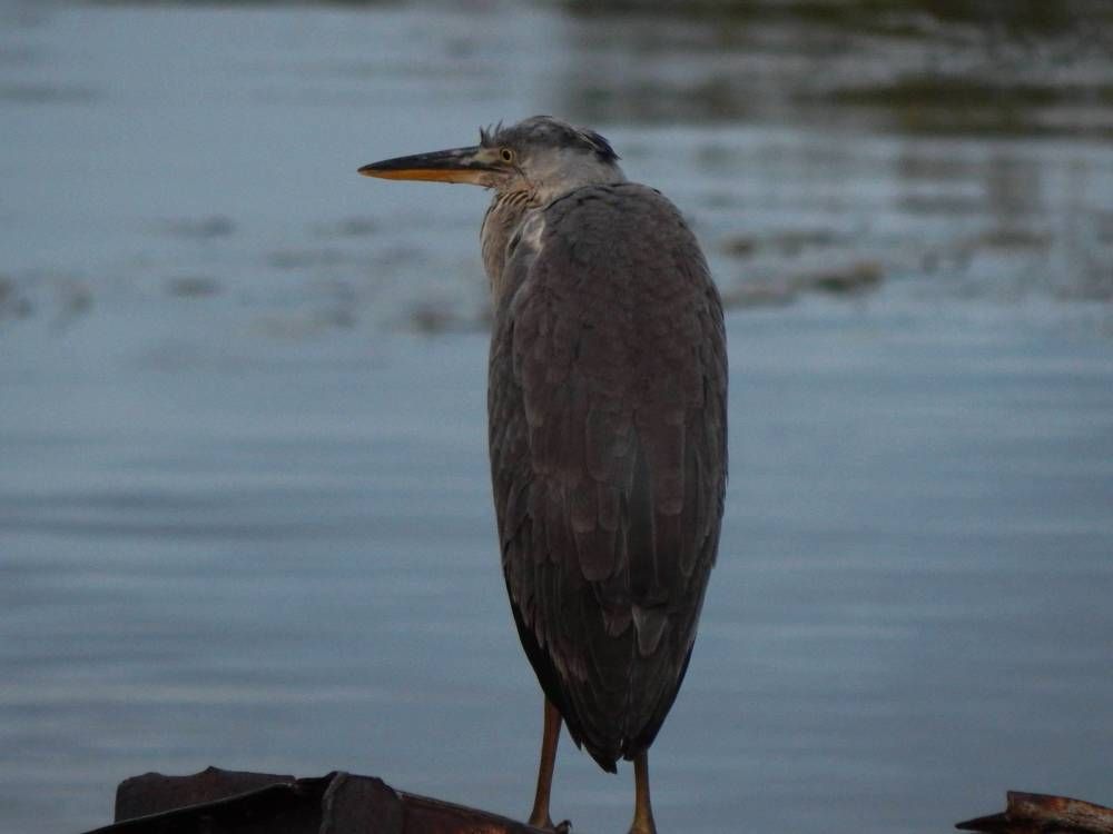 Photograph by Иван Кирилков