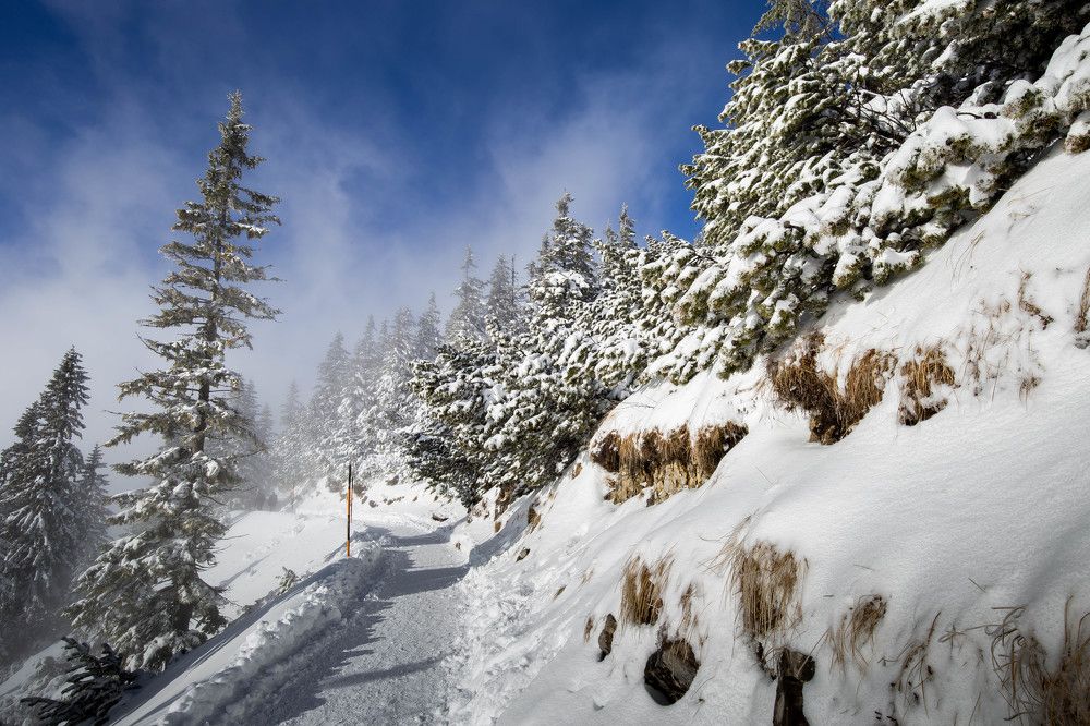 Photograph by Elena Gebert