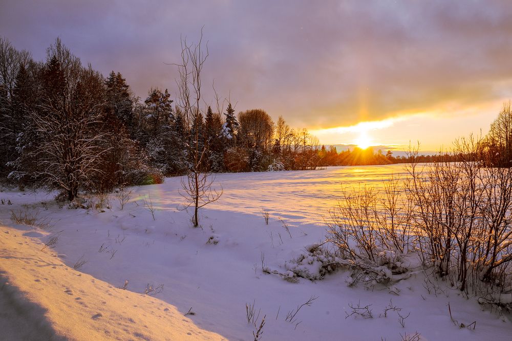 Краски зимнего вечера / Winter evening colors