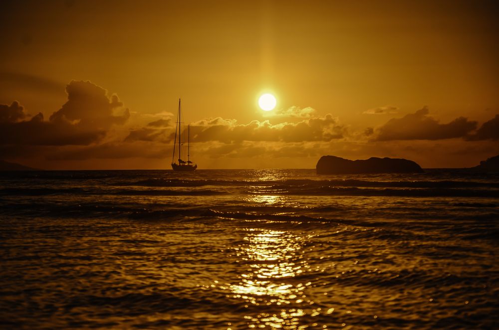 God\'s creation.