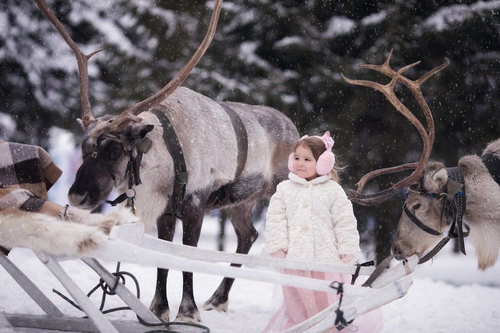 Снежная королева
