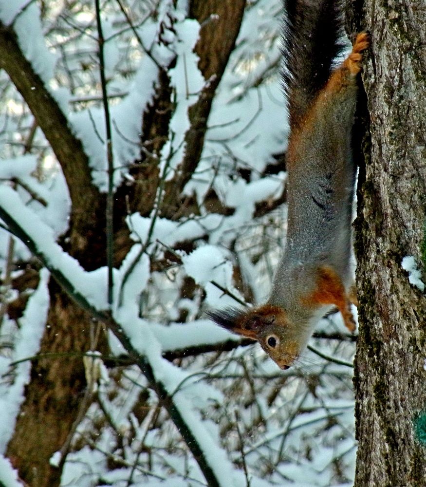 Photograph by леонид натапов