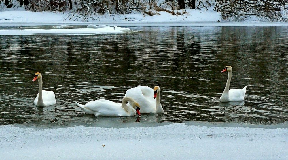 Photograph by леонид натапов