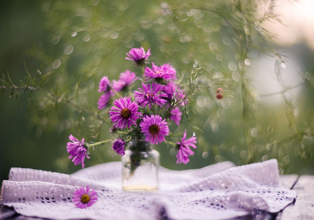 Photograph by Елена Вапняр