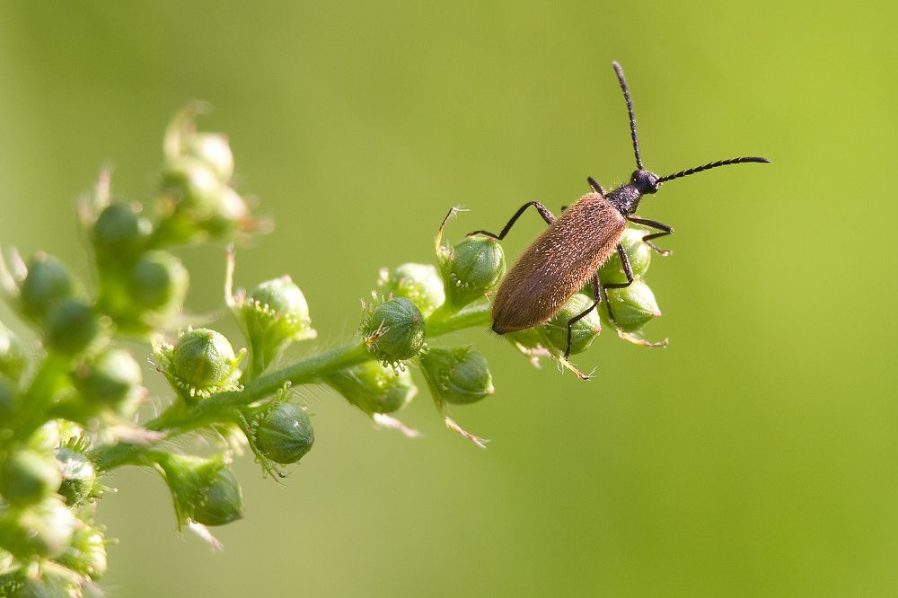Photograph by Сергей Фомченков