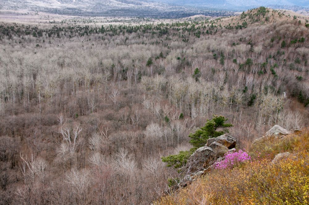 Photograph by Дмитрий