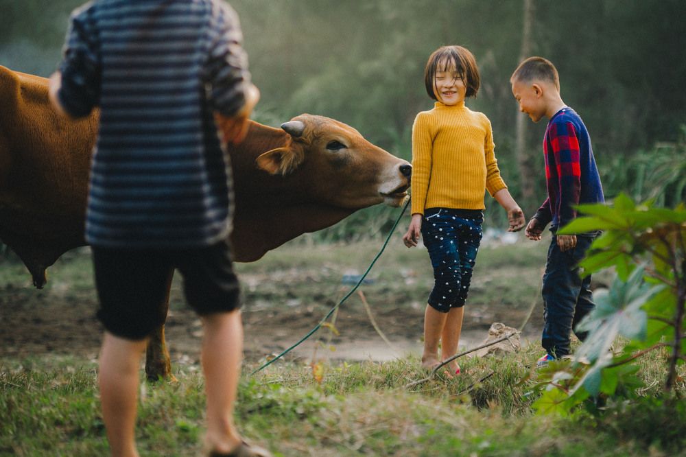 Children come from Viet Nam