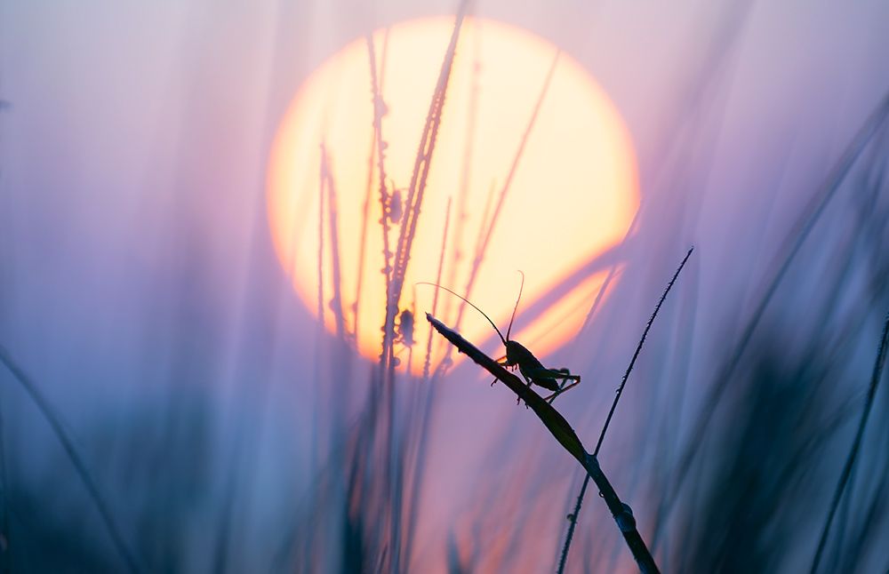 Good morning sunshine