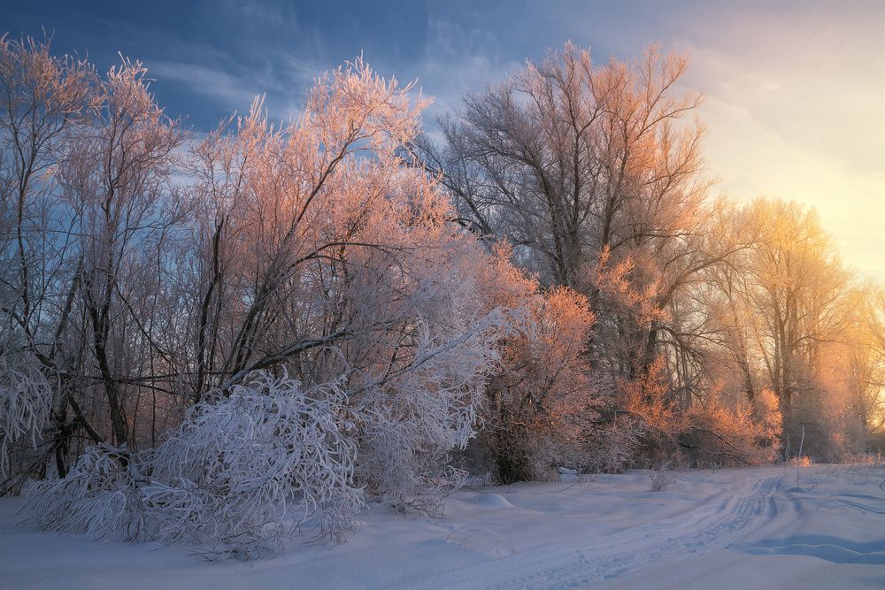 В объятиях мороза