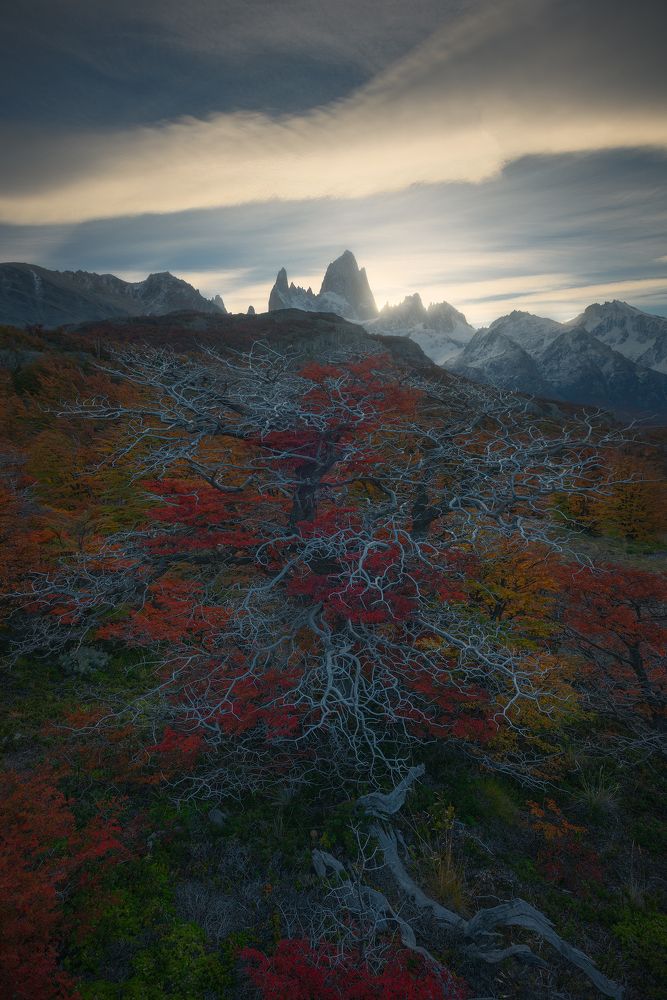 Exuberant vegetation