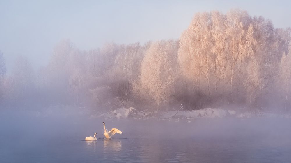 Сердцем к свету!