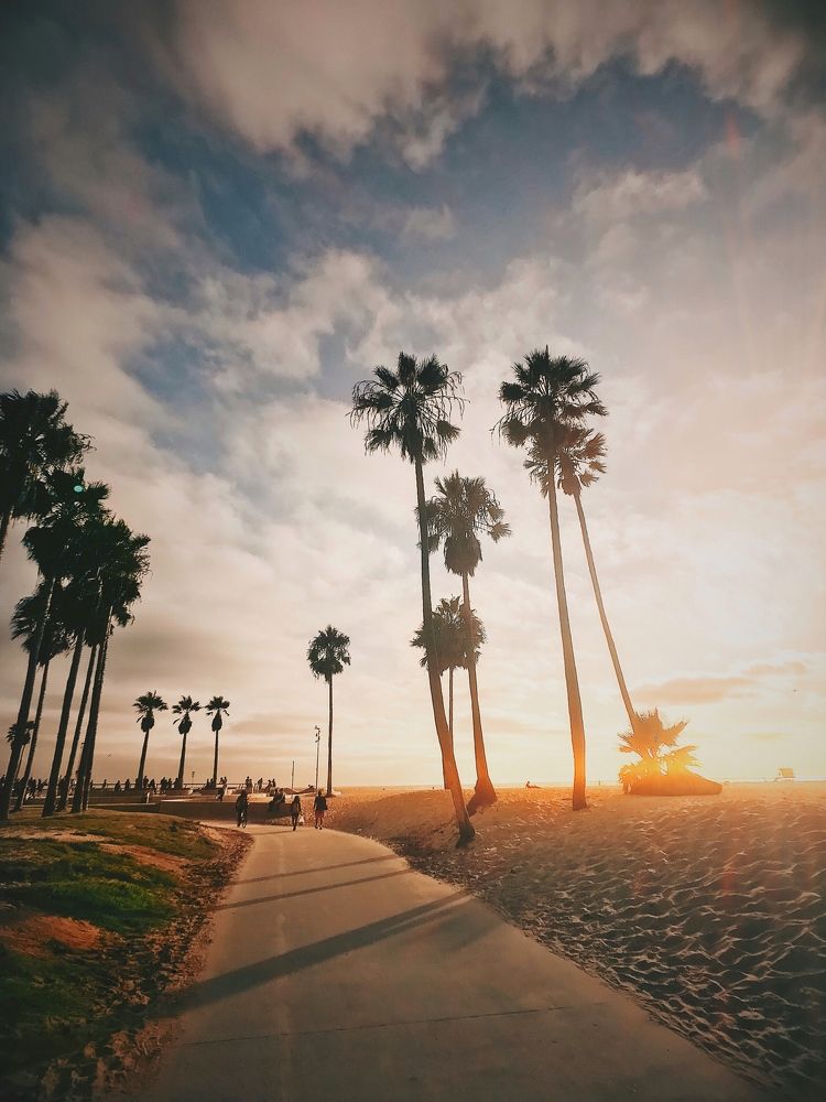 Venice beach, Los Angeles