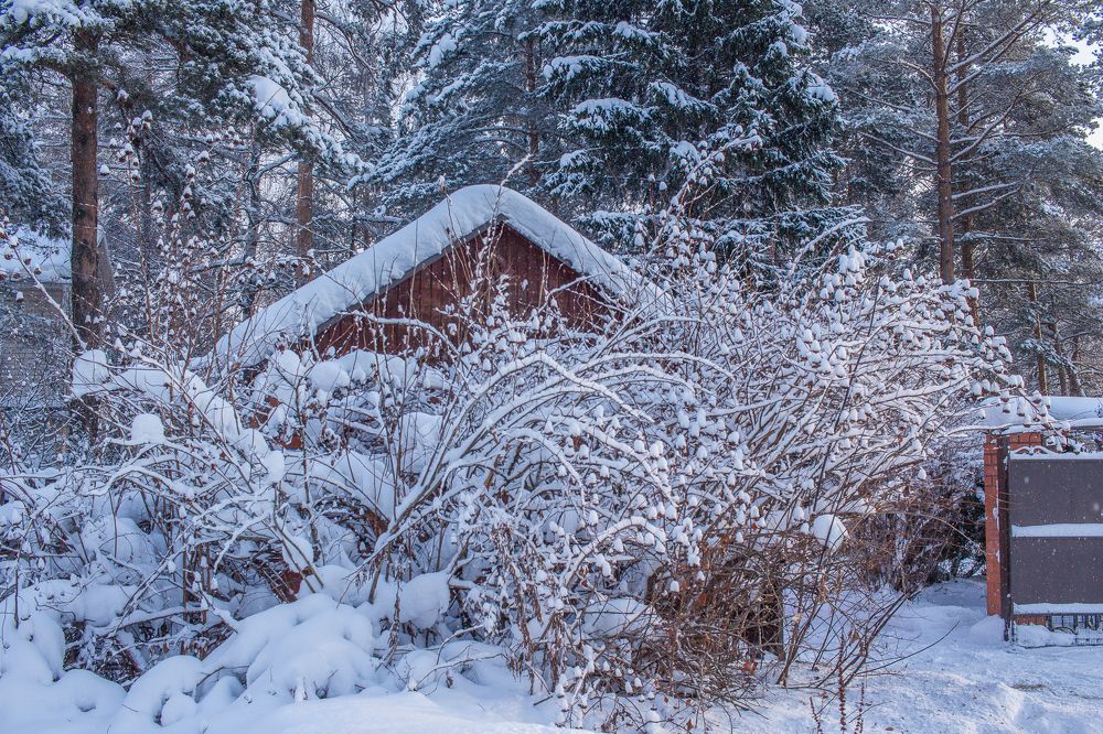 Дом в снегу