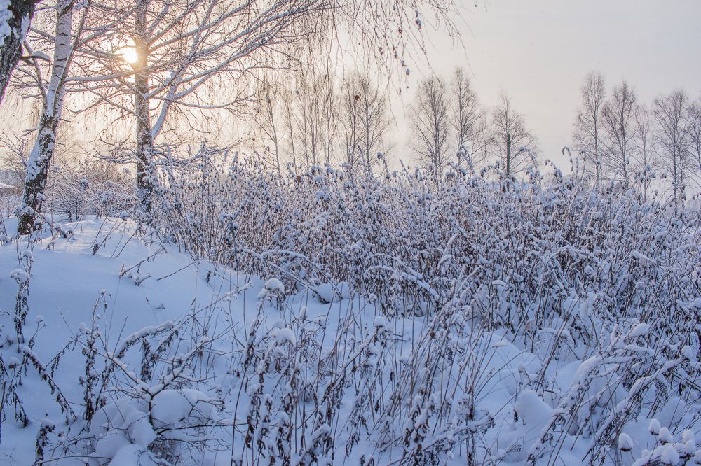Снежное поле