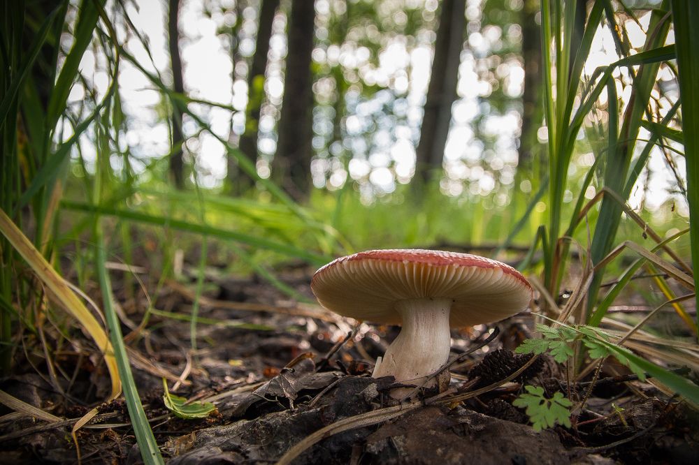 Photograph by Павел