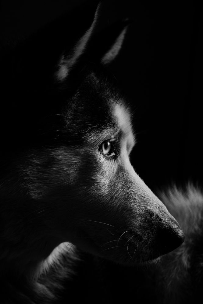 Photograph by Katerina Berezina