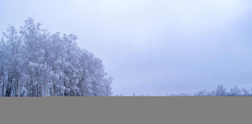 Photograph by Полина