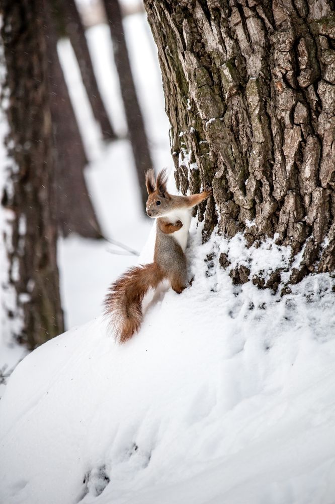 Photograph by Katerina Berezina