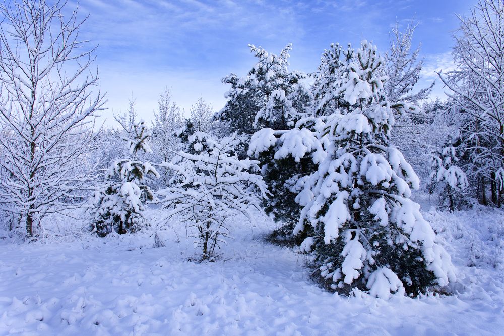 Photograph by Елена Стещенко