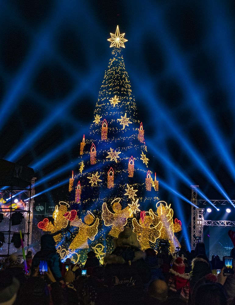 Елка и Свет / Christmas Tree and Light