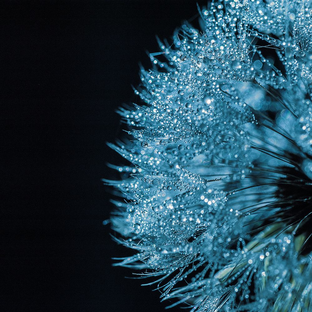 Photograph by Юлиана Джус