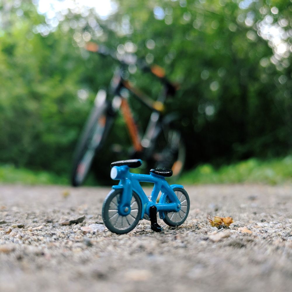 Photograph by Елена Дюганова