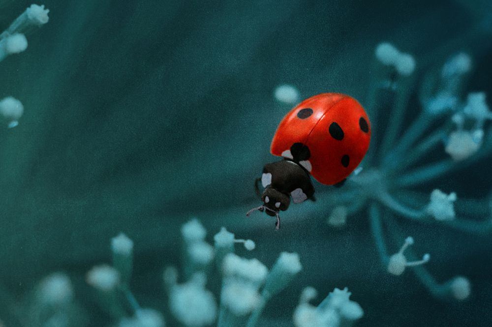 Photograph by Анна Дегтярёва