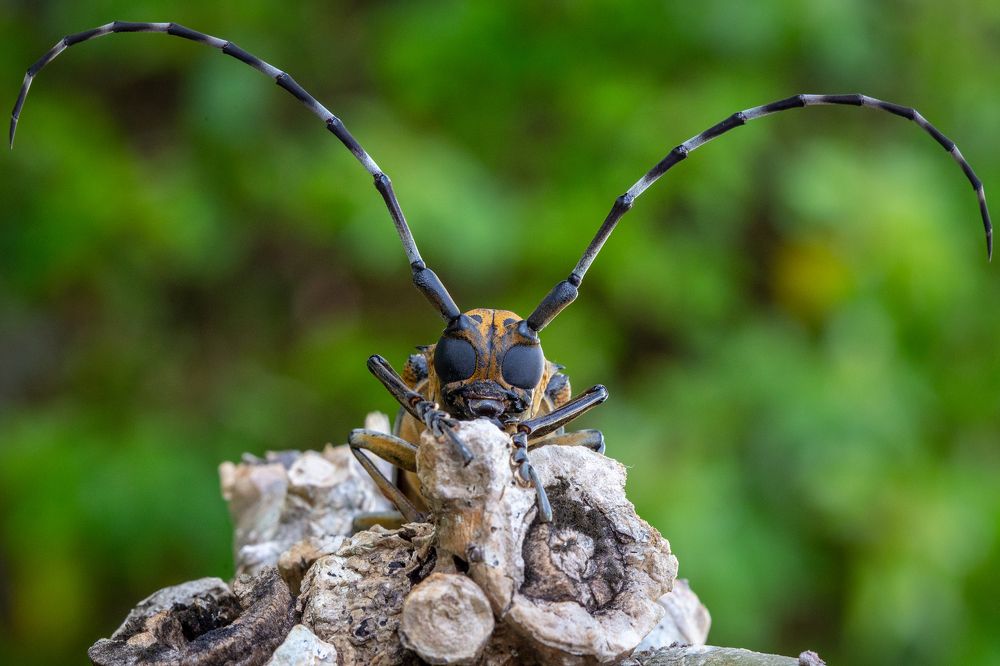 Когда никуда не торопишься...