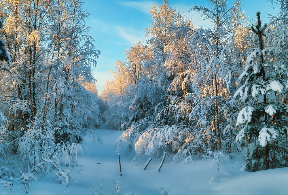 Photograph by Андрей Лобанов