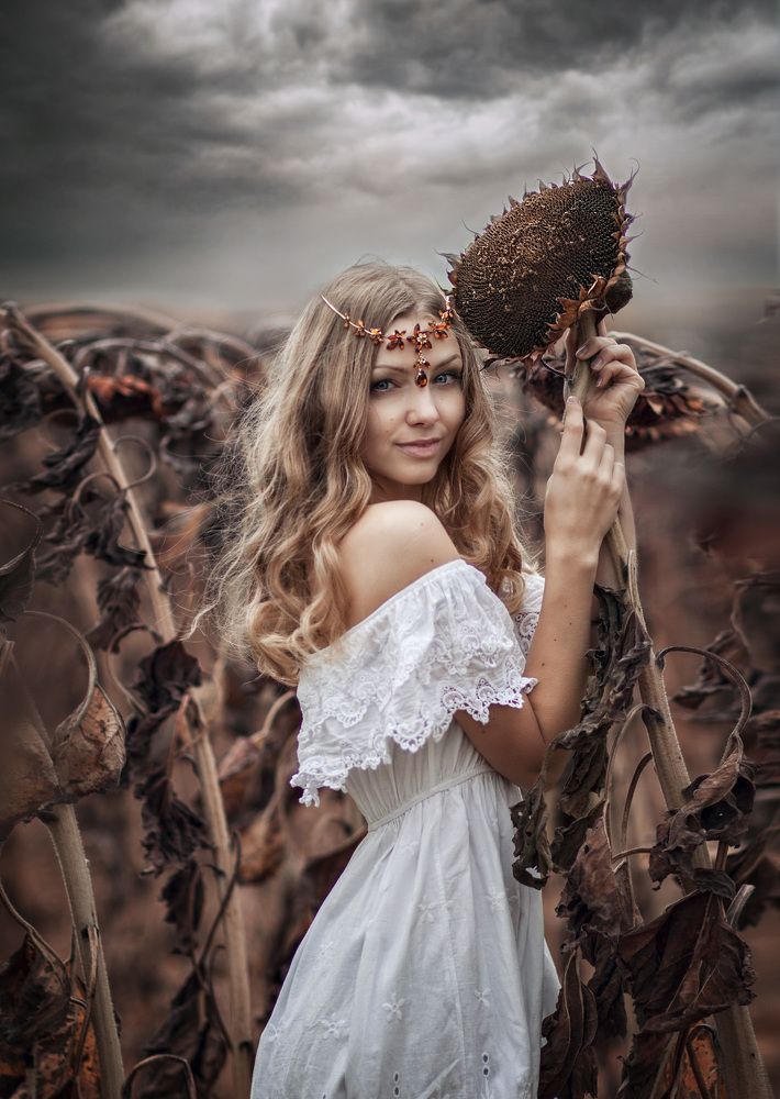 Подсолнухи