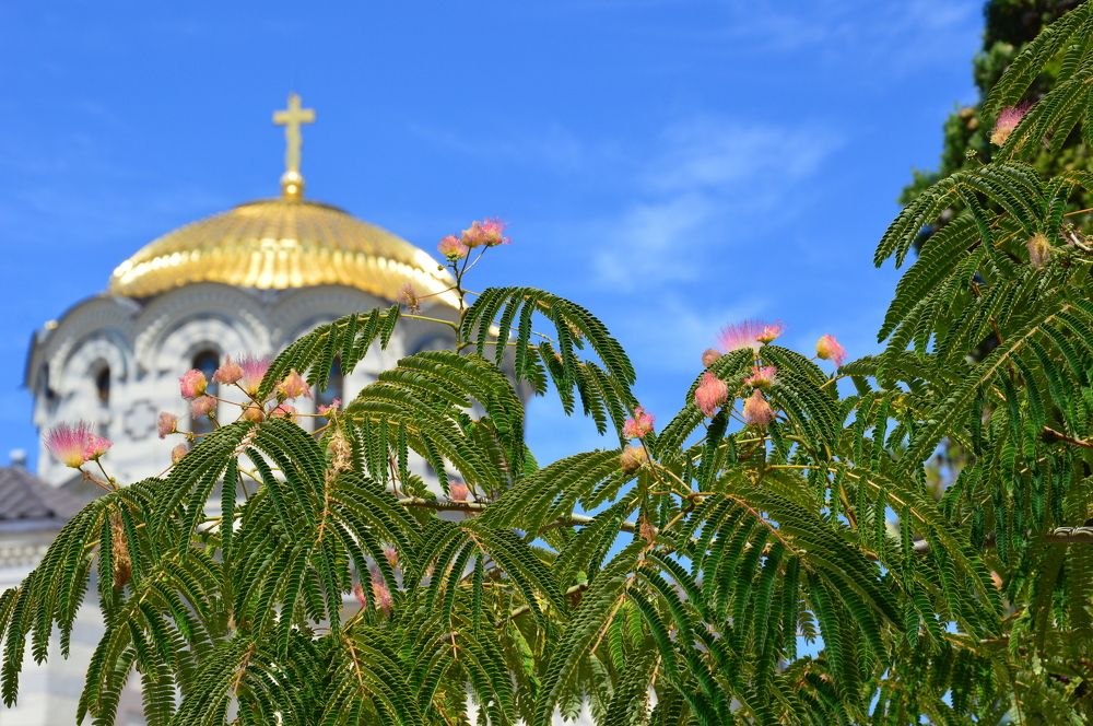 Спокойствие