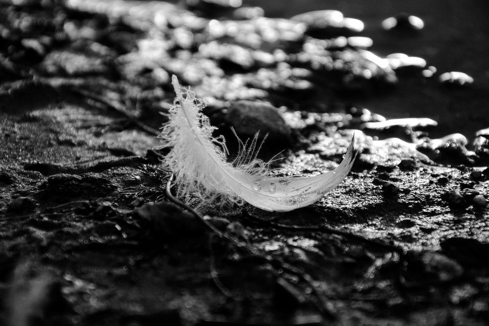 Photograph by Малах Виктория