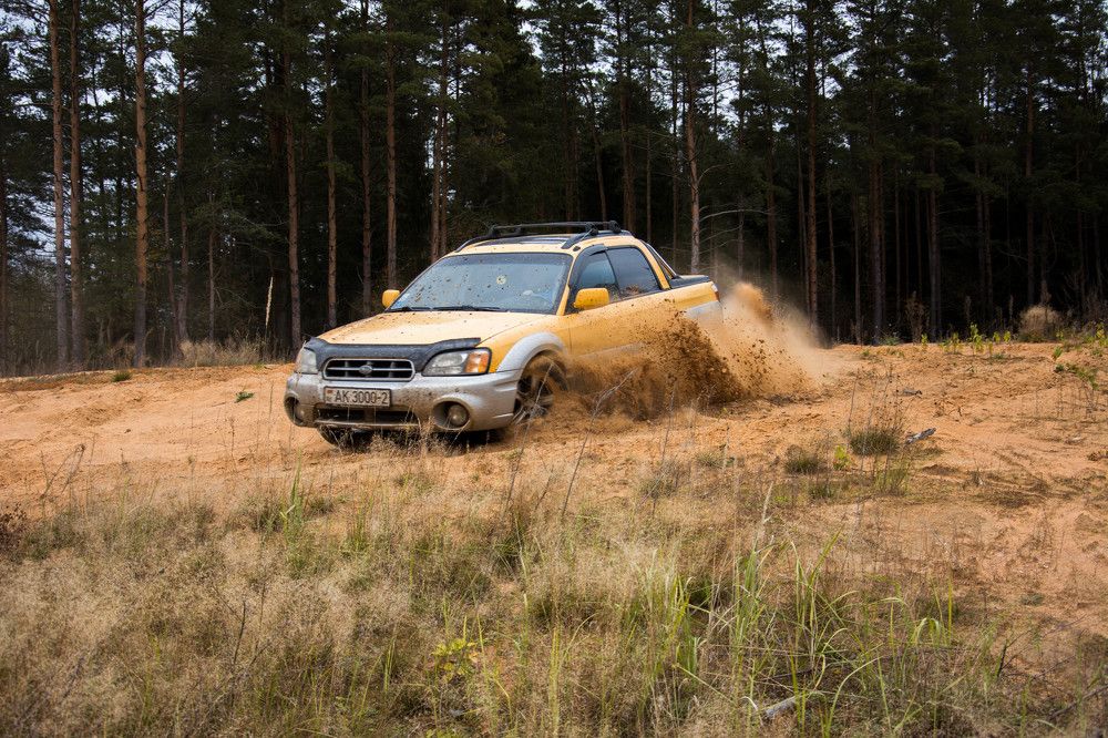 Photograph by Малах Виктория