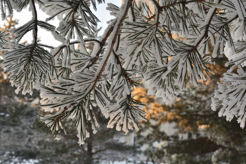 Принакрылась снегом точно серебром...