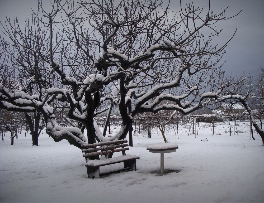 The bench of my childhood