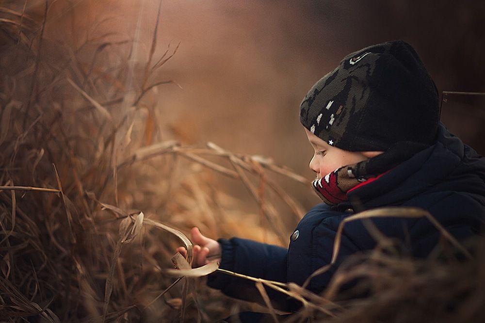 Яркая осень