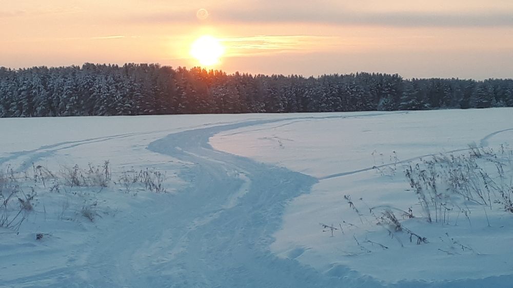 Зимнее утро