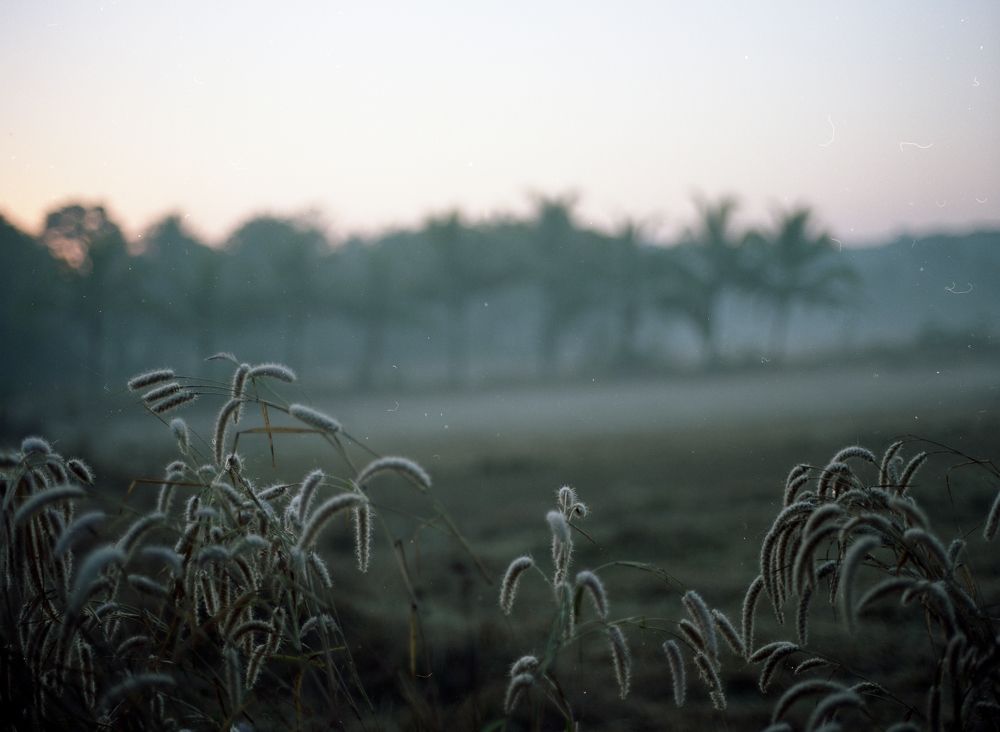 Рассвет в Индии