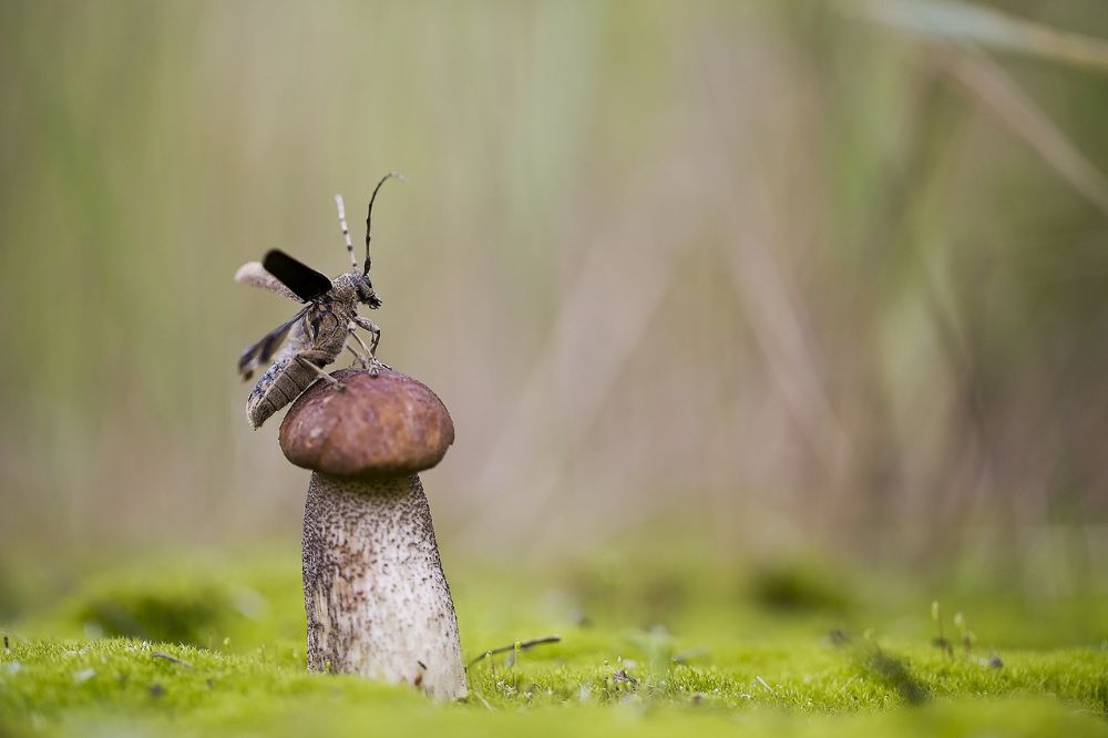 К взлету готов!