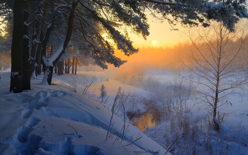 Первые лучи