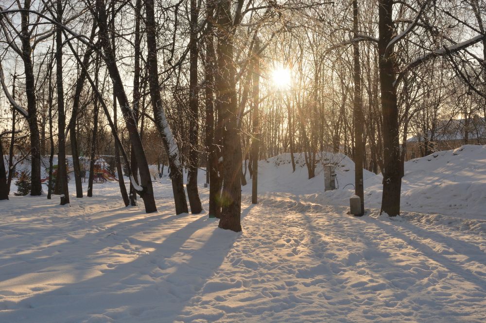 зимнее солнце