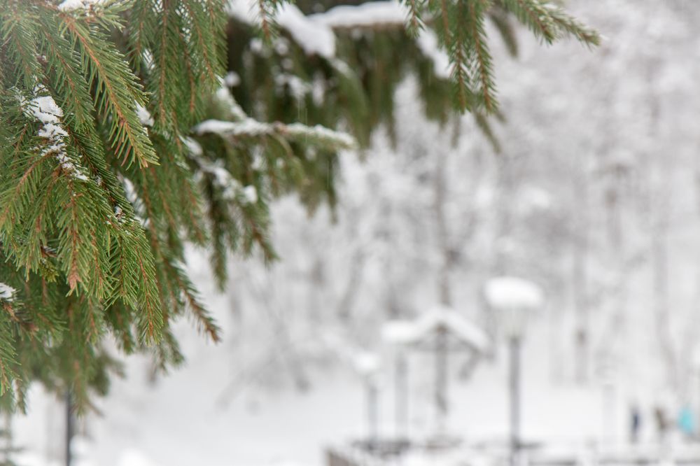 Photograph by Иван Кабалин