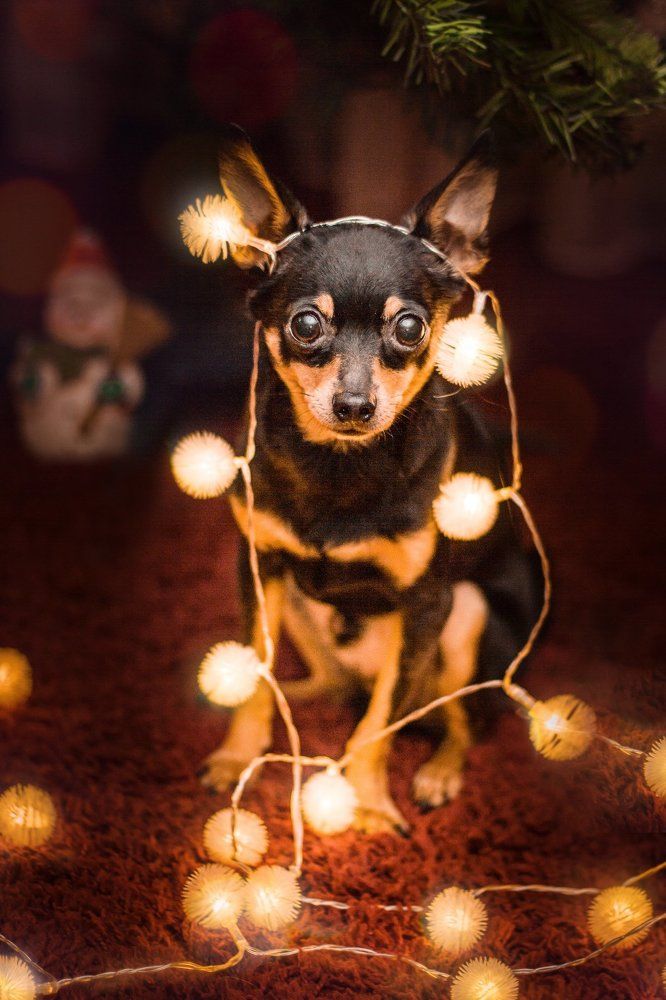 Photograph by Анна Кесарева