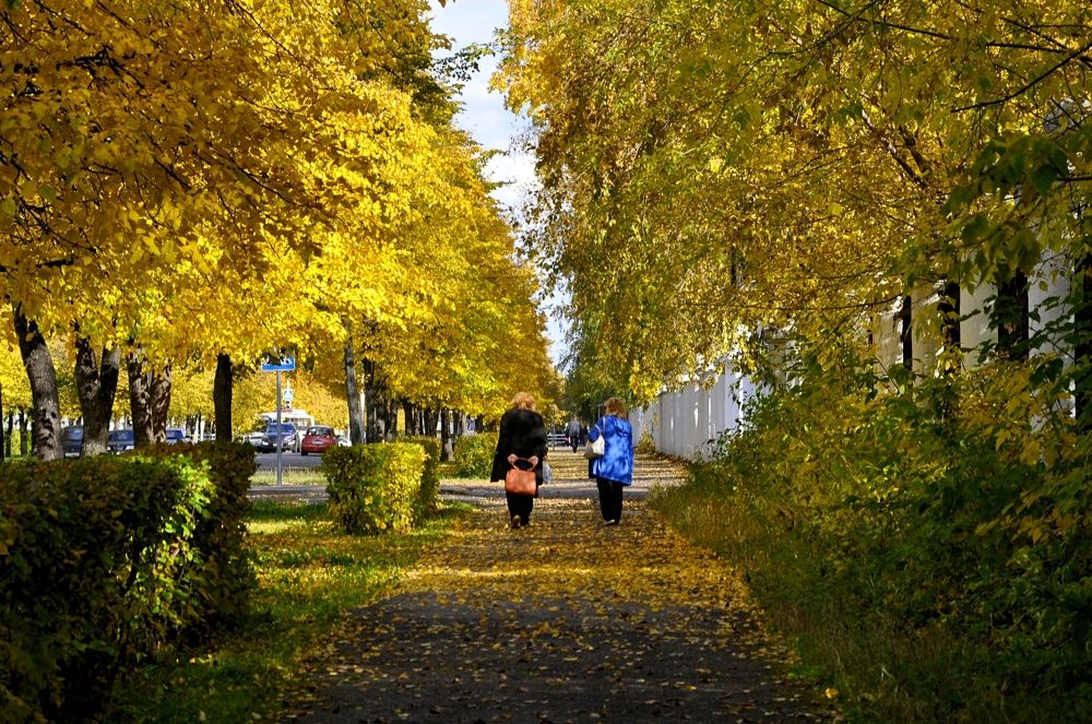 ОСЕННИЙ ГОРОД