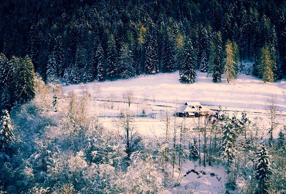 Лесная избушка