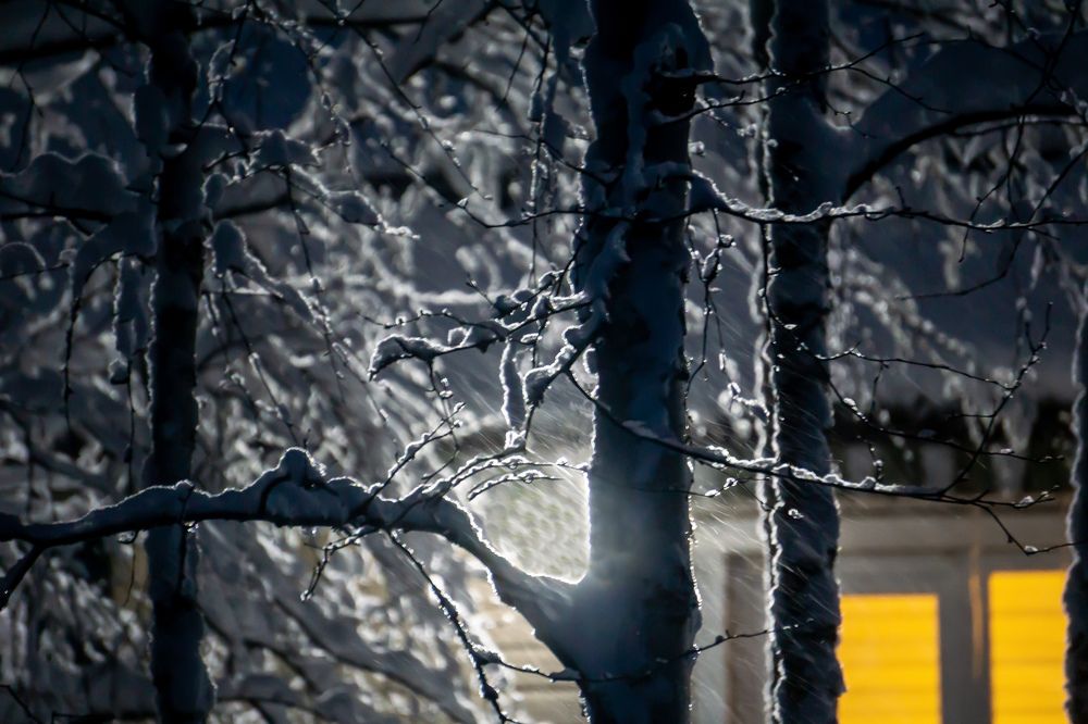 Photograph by Ника Кит