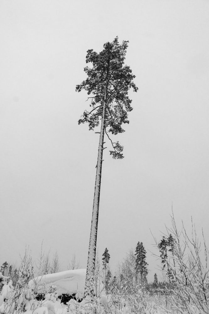 Photograph by Ника Кит