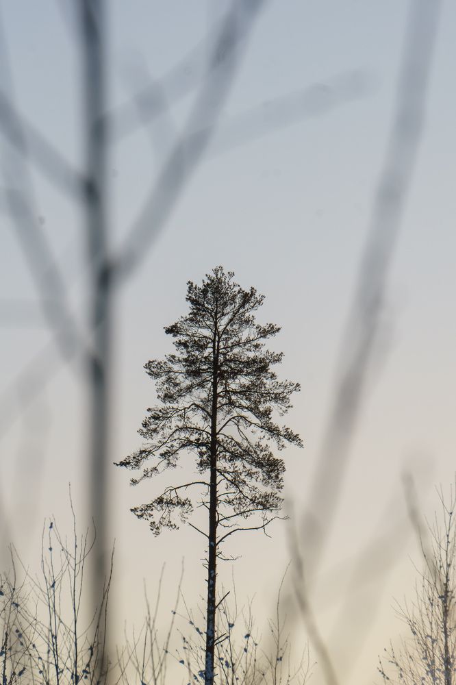 Photograph by Ника Кит