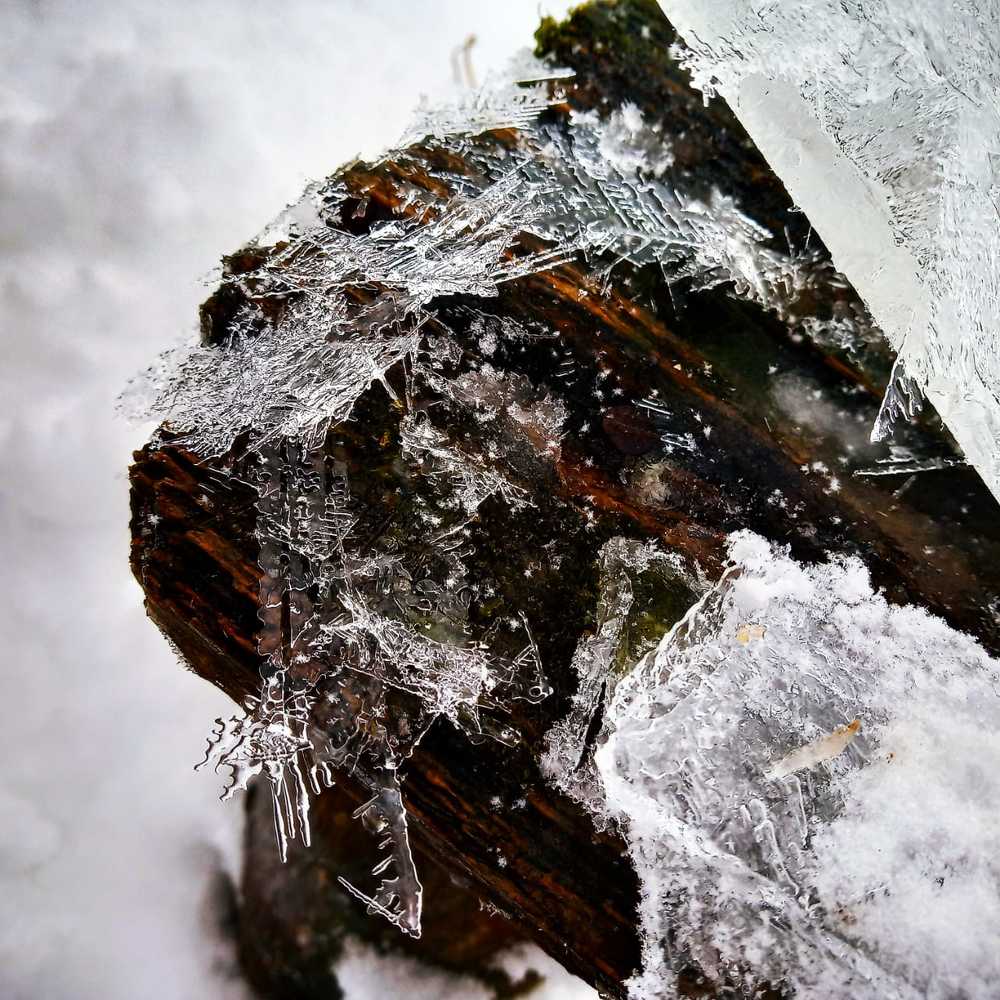 ледяные "снежинки"